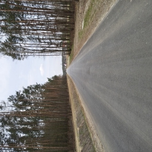 Zdjecie_7_droga Marianka-Dąbrowa